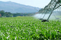 AGRICULTURAL-IRRIGATION-IN-MALELANE-AND-NELSPRUIT-AND-WHITE-RIVER
